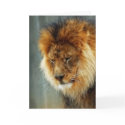 Sympathy Card - Lion