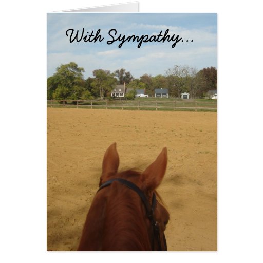 Sympathy Card Loss of Horse Zazzle