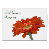 Sympathy Card - Orange Daisy Gerbera Flower