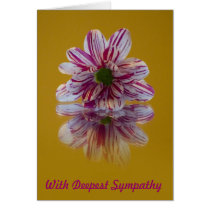 Sympathy Card - Striped Daisy Gerbera pink yellow
