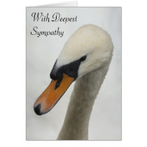 Sympathy Card - White Macro Swan