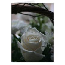 Sympathy Card white rose unique greeting cards