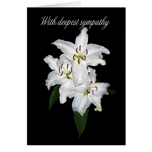 Sympathy Card With White Tiger Lilies Zazzle