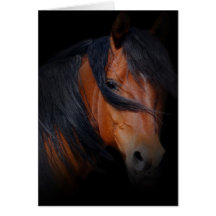 Sympathy for loss of horse card