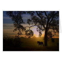 Sympathy for loss of horse oak tree and sunset cards