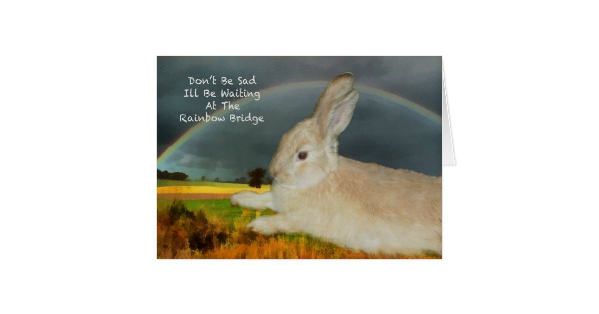 Sympathy for loss of pet rabbit card | Zazzle