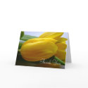 Sympathy / Funeral Thank You Card