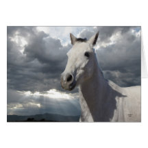 Sympathy in Your Loss - Horse Lover Greeting Cards