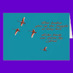 Sympathy-May You Find Comfort Trupeter Swans cards