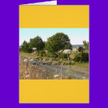 Sympathy-May You Find Comfort Trupeter Swans cards