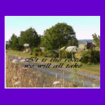 Sympathy-May You Find Comfort Trupeter Swans postcards