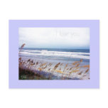 Sympathy Message Postcard