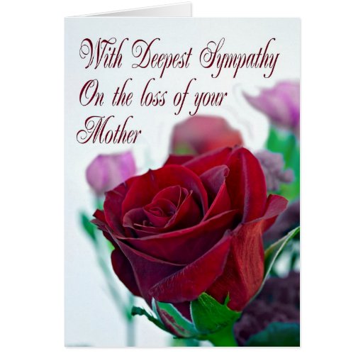 sympathy-on-loss-of-mother-with-a-red-rose-greeting-card-zazzle