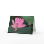 Sympathy Pink Lily Card