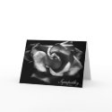 Sympathy Rose cards