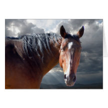 Sympathy Support & Comfort - Horse Lover Greeting Card