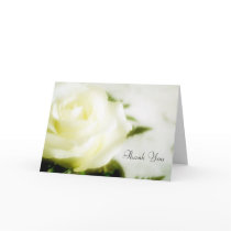 Sympathy Thank You Cards