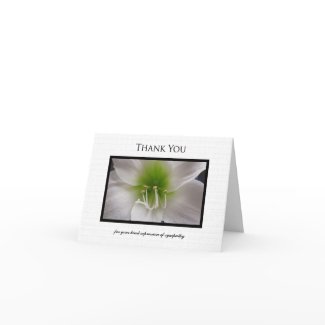 Sympathy Thank You Note Card - White Amaryllis card