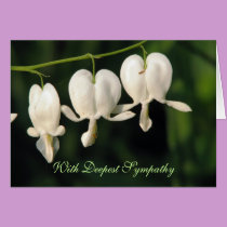 SYMPATHY WHITE FLOWERS cards
