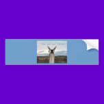 Sympathy: You Are Not Alone Llama bumper stickers