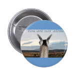 Sympathy: You Are Not Alone Llama buttons