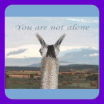 Sympathy: You Are Not Alone Llama stickers