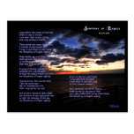 Symphony of Angels Postcard