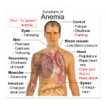 Symptoms Chart of the Blood Disease Anemia Poster