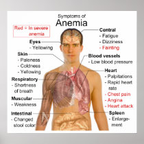 Symptoms Chart of the Blood Disease Anemia Poster