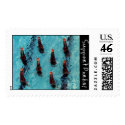 Synchro Swimmers postage