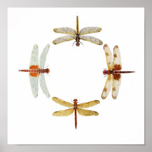 Synchronized Dragonflies IV Poster