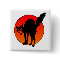 Syndicalist's cat pinback button