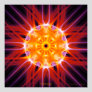 'Synergy'  Canvas Fine Art Print