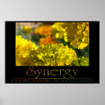 jaase synergy print