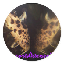 Synodontis catfish mirrored sticker by Lisachromis Synodontis catfish mirrored sticker