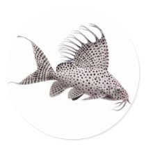 Synodontis Catfish Sticker by twopurringcats Synodontis Catfish Sticker