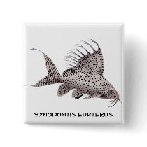 Synodontis eupterus Catfish Pin