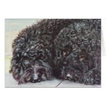 "Syrah and Cabernet" Greeting Cards