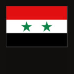 Syria Flag Map Spaghetti Top