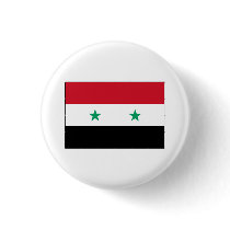 Syria FLAG International Pins