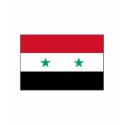 Syria FLAG International t-shirts