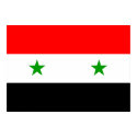 Syria Flag posters