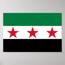 Syria Flag Print