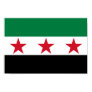 Syria Flag Print Syria Flag Print