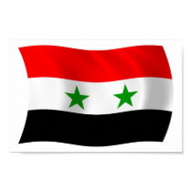 Syria Flag Poster Print