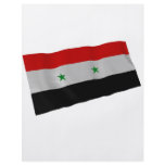 syria flyers