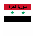 syria, free syria, damascus, syria shirt, syria