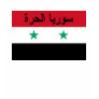 Syria - Free Syria Flag سوريا الحرة Shirt