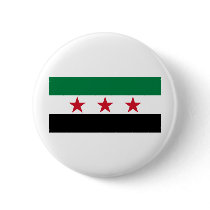 syria opposition pin