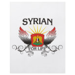 Syrian For Life flyers